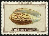 Nestle Serie V No 05 Coquillages