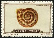 Nestle Serie V No 07 Coquillages
